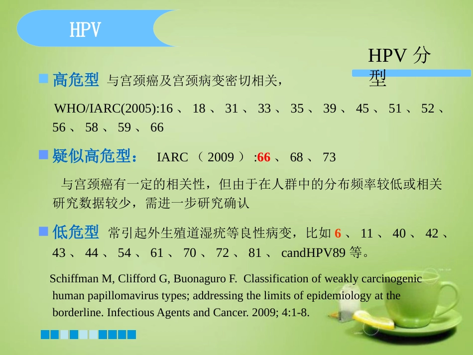 HPV分型检测的临床应用-基础版【76页】_第10页