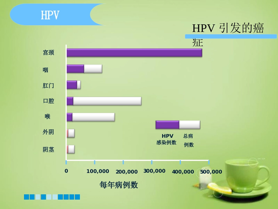 HPV分型检测的临床应用-基础版【76页】_第13页
