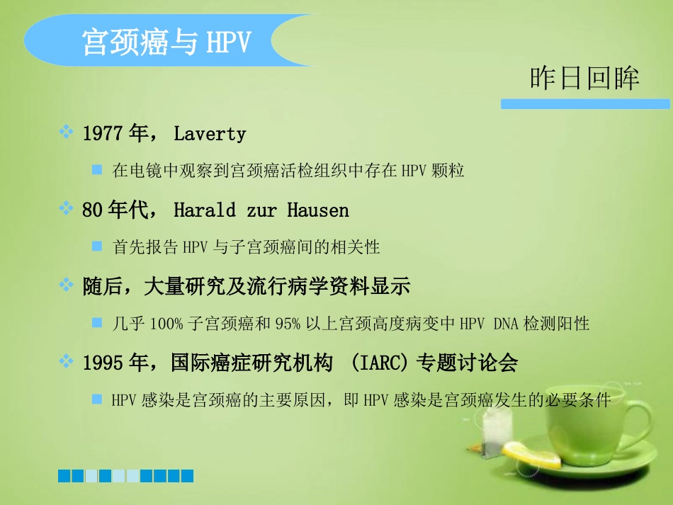 HPV分型检测的临床应用-基础版【76页】_第4页