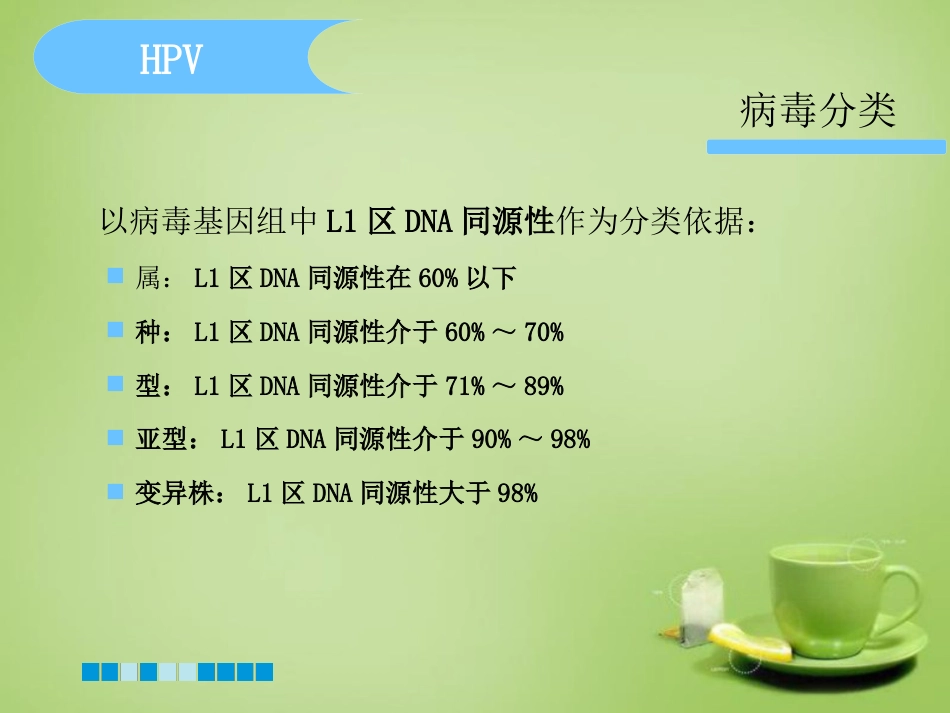 HPV分型检测的临床应用-基础版【76页】_第8页