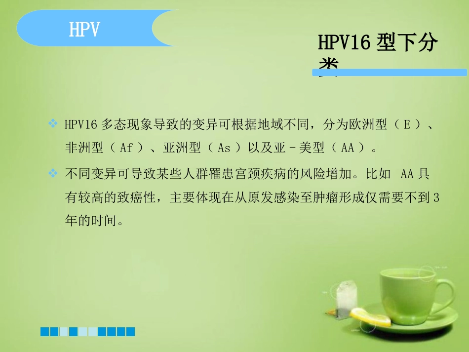 HPV分型检测的临床应用-基础版【76页】_第9页