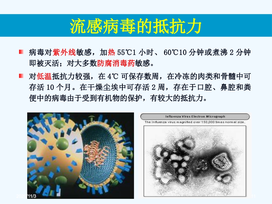 流感病毒感染【99页】_第11页