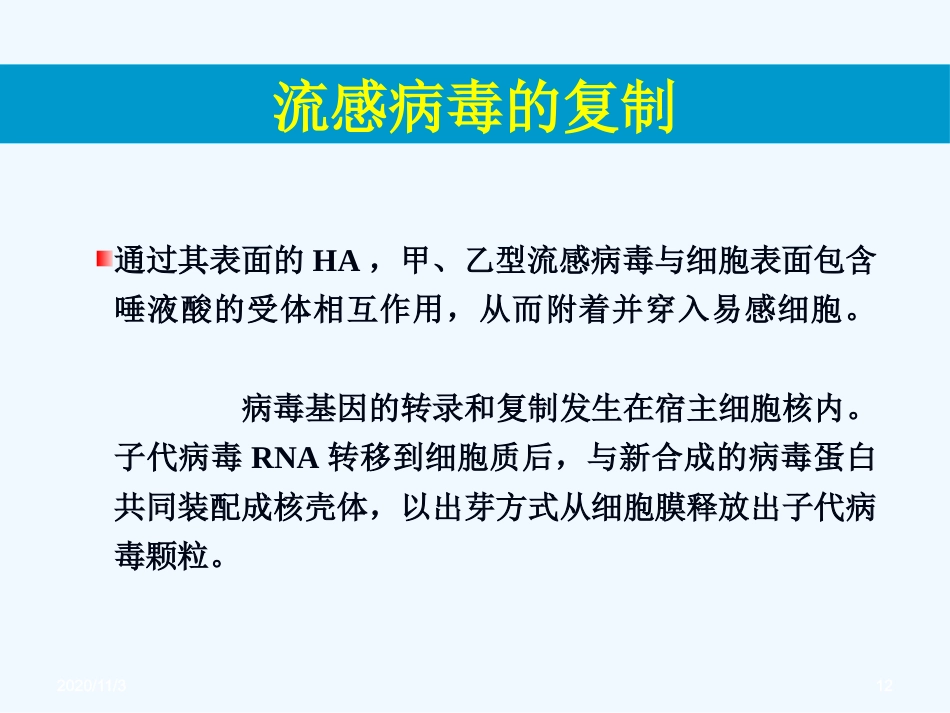 流感病毒感染【99页】_第12页