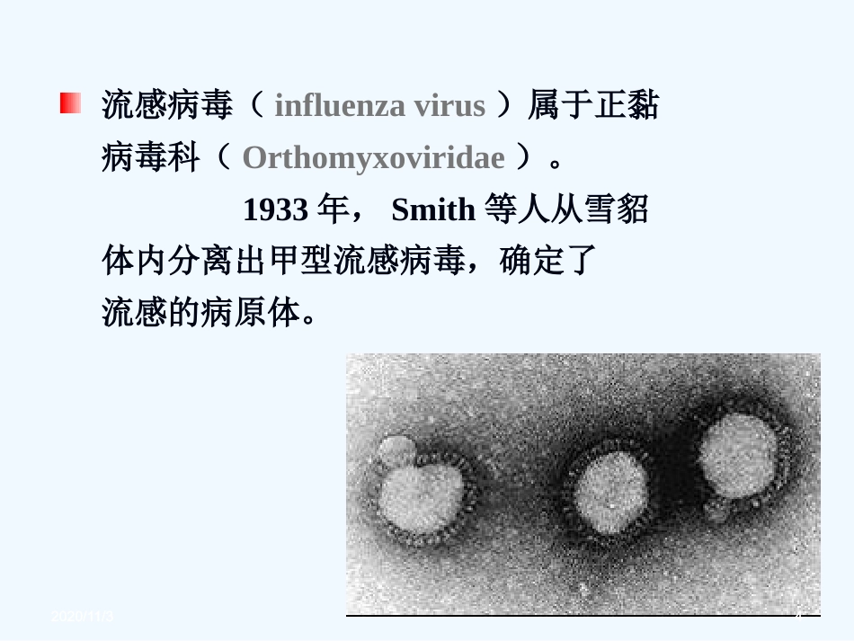 流感病毒感染【99页】_第4页