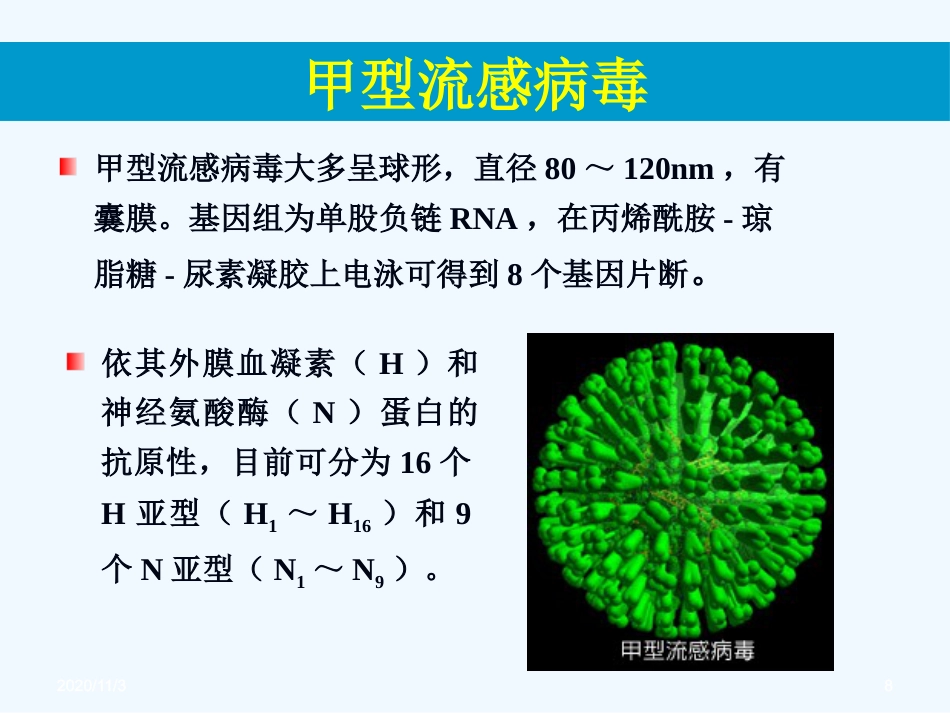 流感病毒感染【99页】_第8页