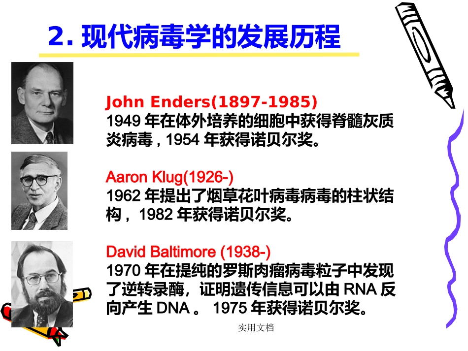 第二章病毒的基本特征【109页】_第11页