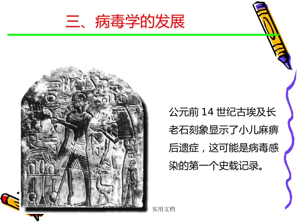 第二章病毒的基本特征【109页】_第5页