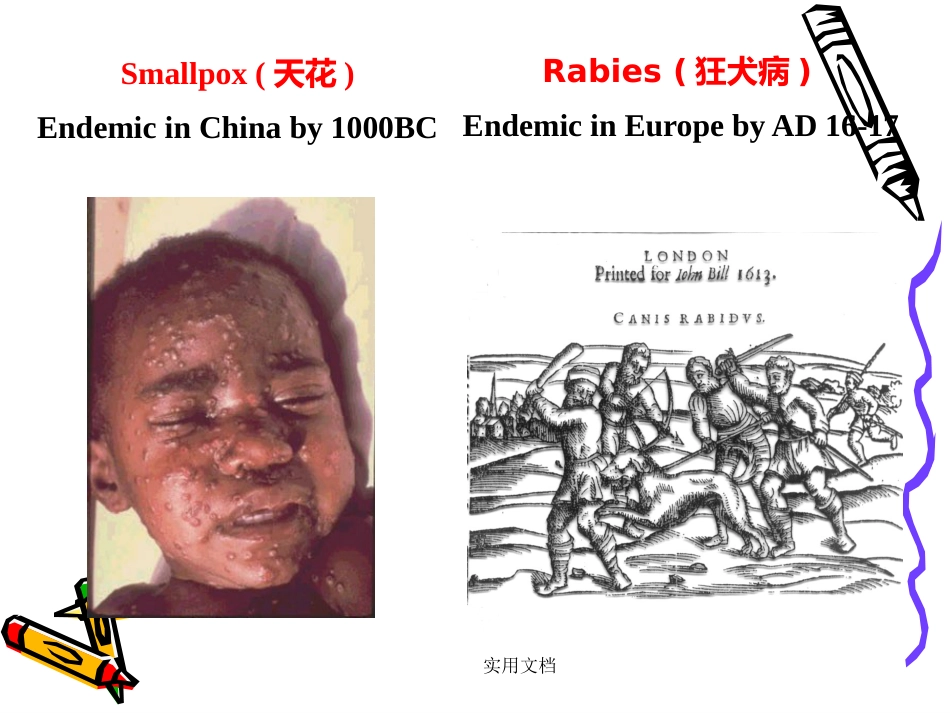 第二章病毒的基本特征【109页】_第6页