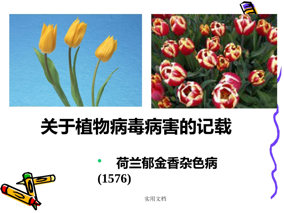 第二章病毒的基本特征【109页】_第7页