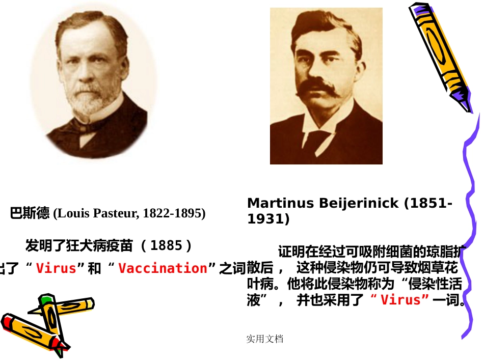 第二章病毒的基本特征【109页】_第9页