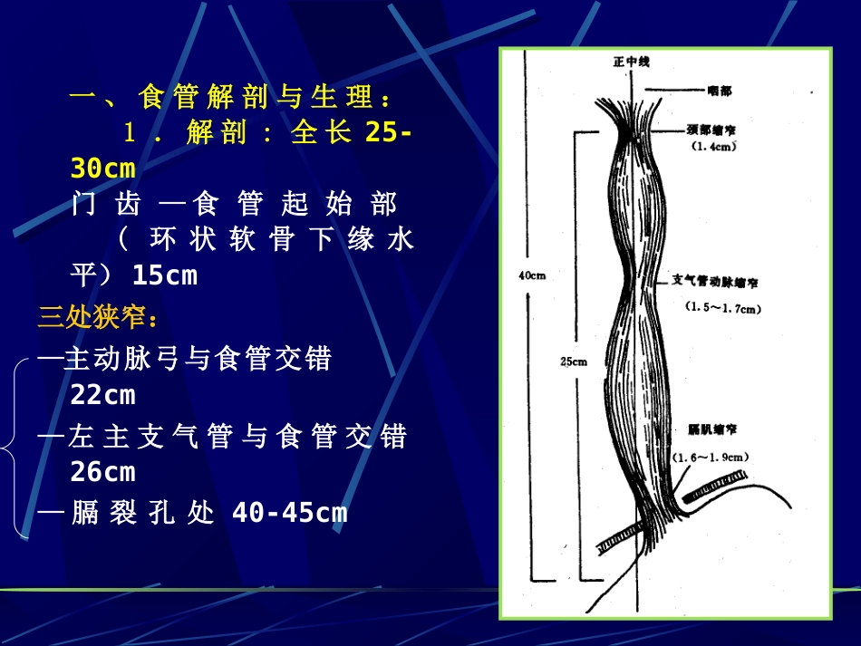 消化内科食管疾病(临床系教案)_第4页
