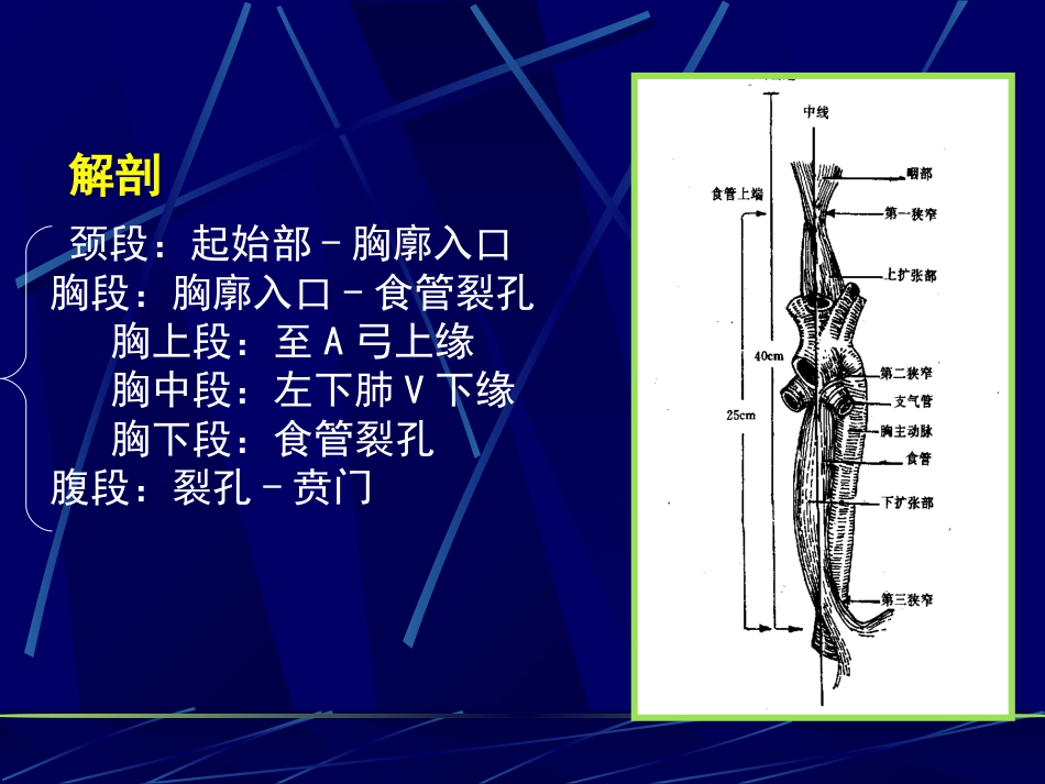 消化内科食管疾病(临床系教案)_第5页