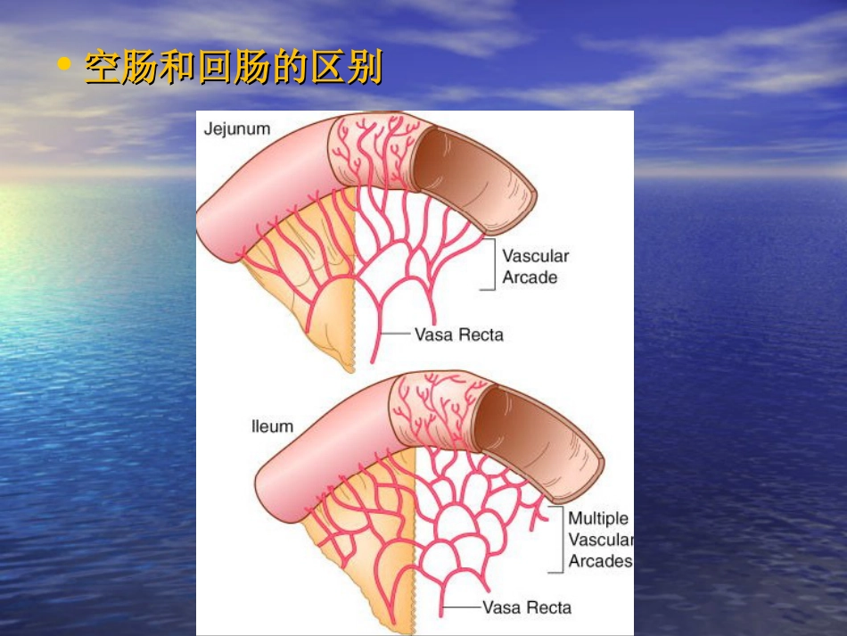 小肠+上消化道大出血_第5页