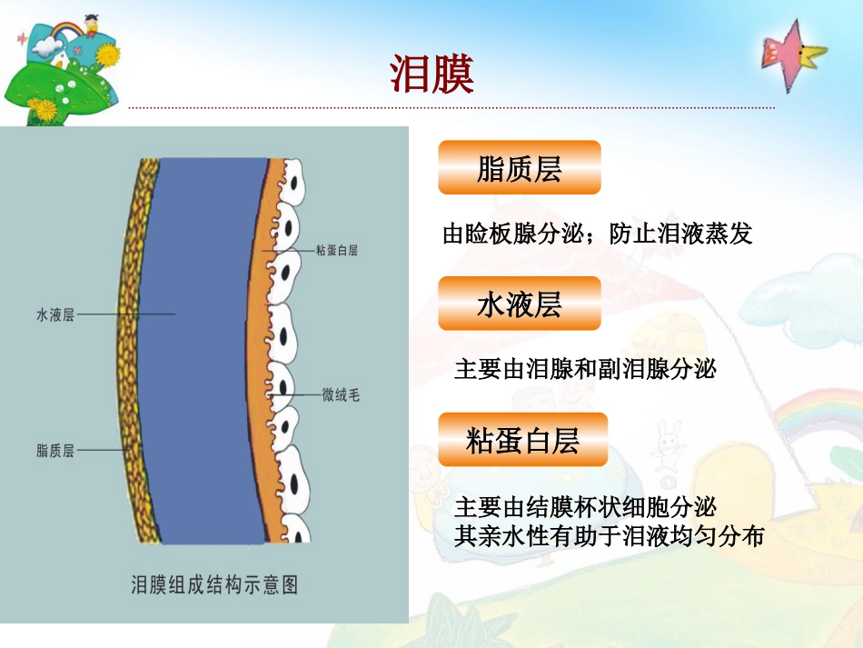 干眼综合症PPT课件_第3页