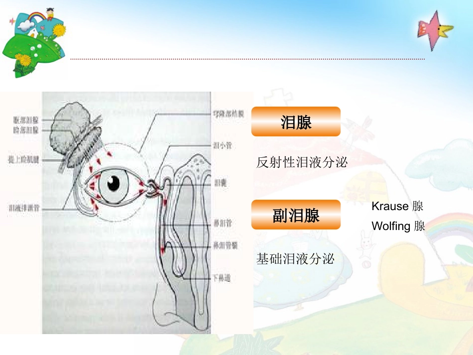 干眼综合症PPT课件_第4页