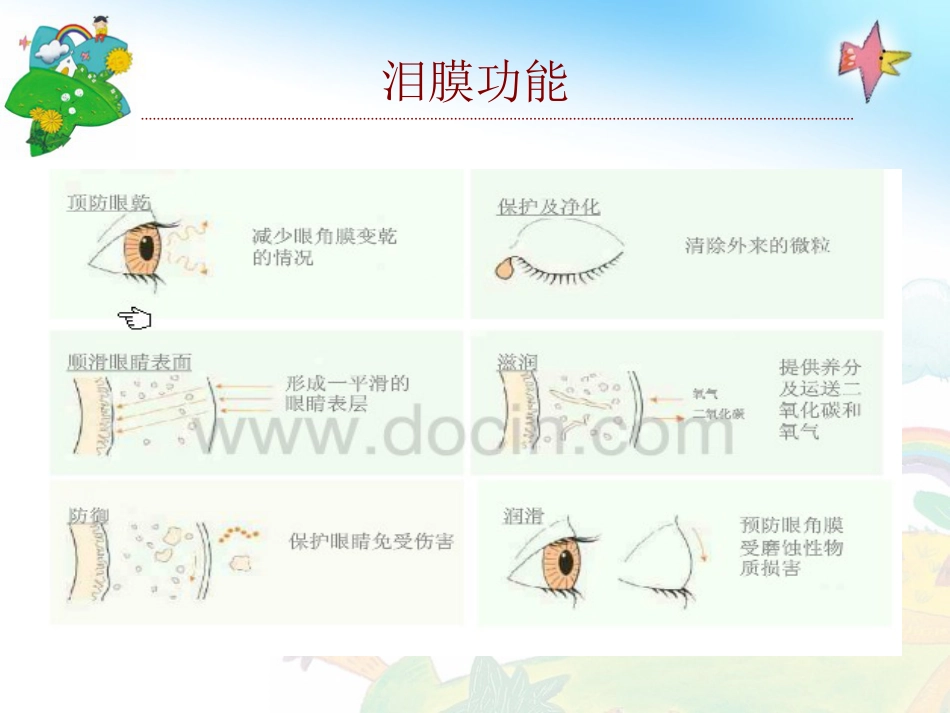 干眼综合症PPT课件_第5页