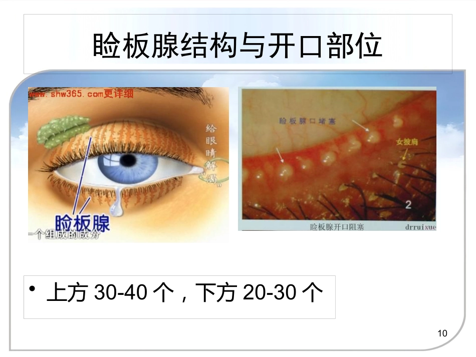 干眼症的诊治方案_第10页