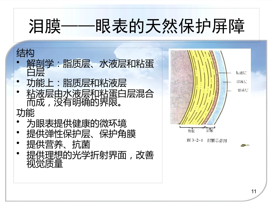 干眼症的诊治方案_第11页
