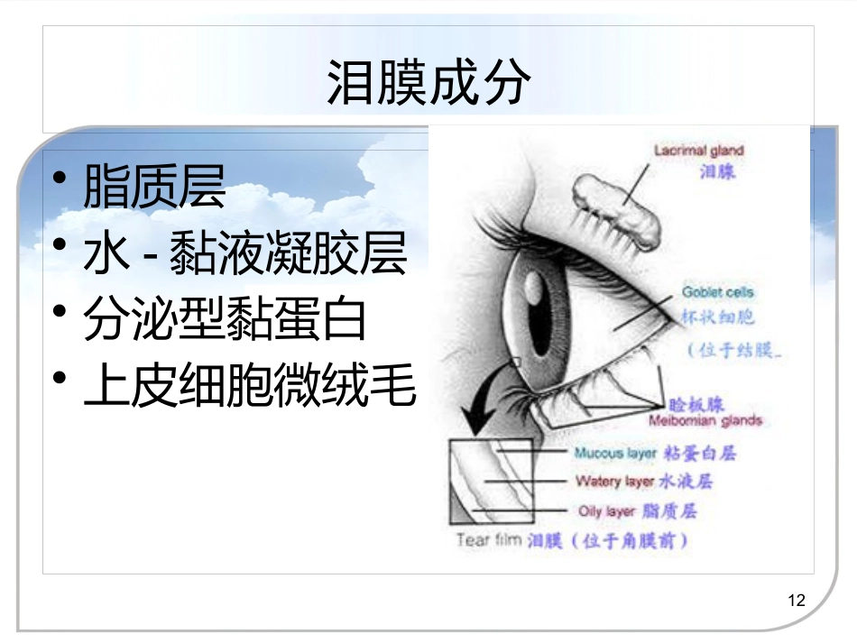 干眼症的诊治方案_第12页