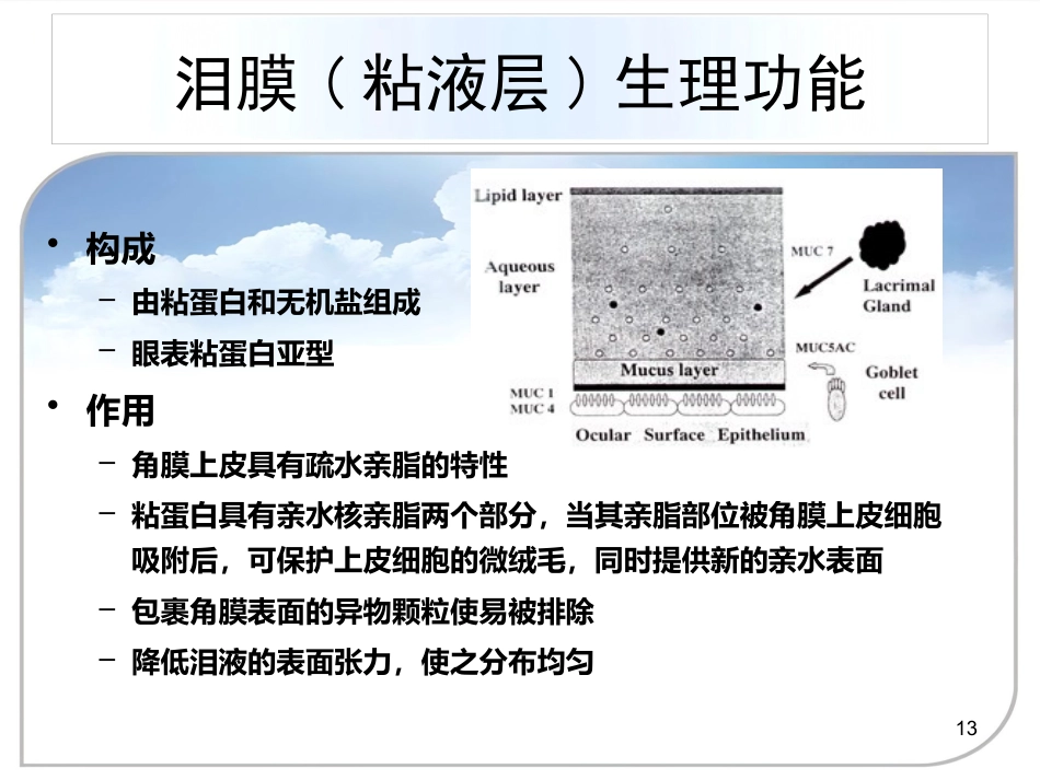 干眼症的诊治方案_第13页