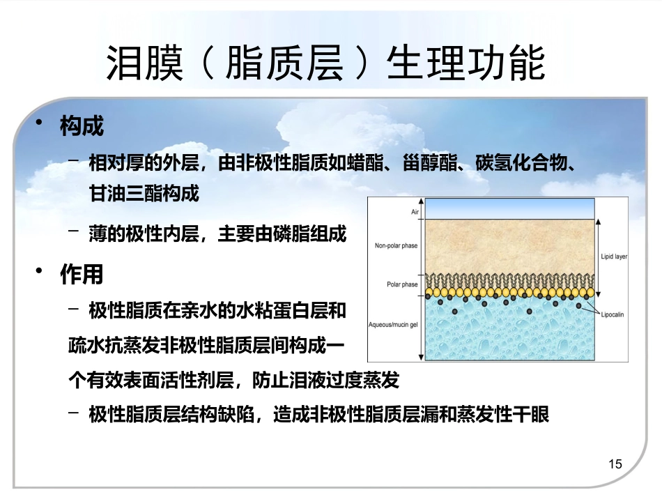 干眼症的诊治方案_第15页