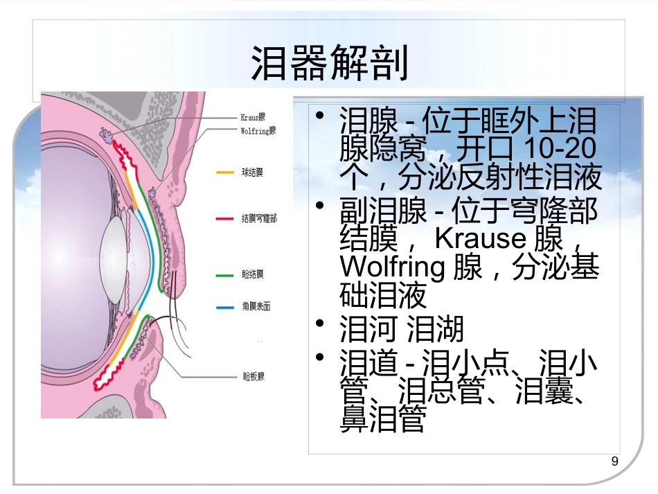 干眼症的诊治方案_第9页