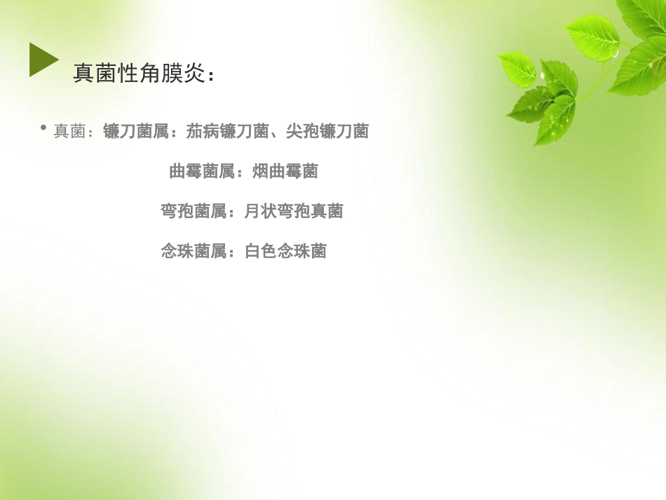 角膜 角膜炎_第11页