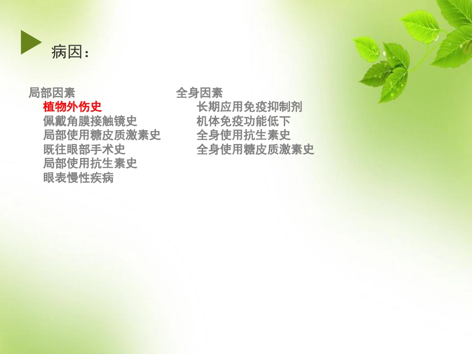 角膜 角膜炎_第12页