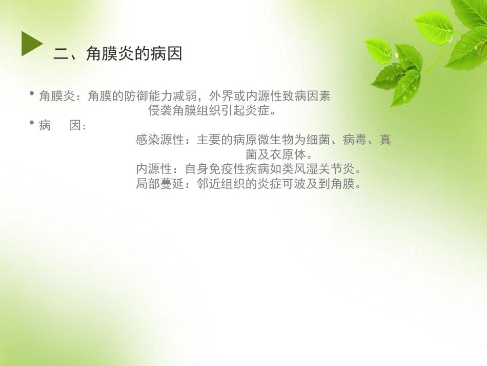 角膜 角膜炎_第4页