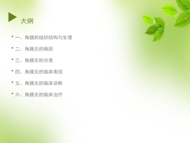 角膜 角膜炎