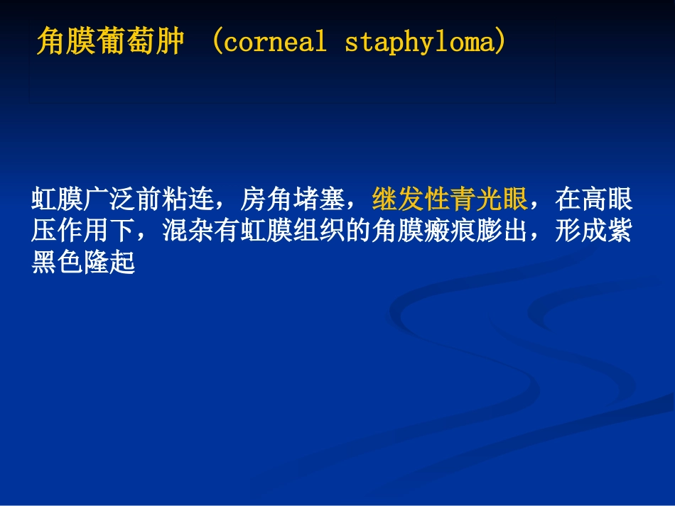 角膜炎_第10页