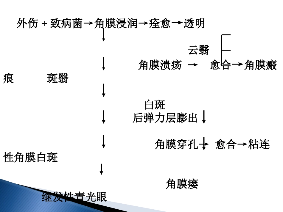 角膜炎-PPt_第4页