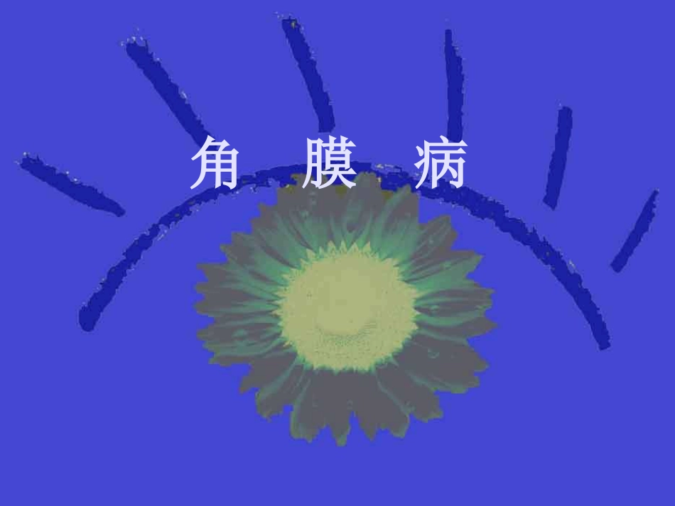 角膜病_第1页