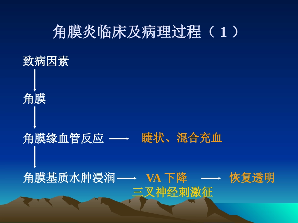 角膜病_第12页