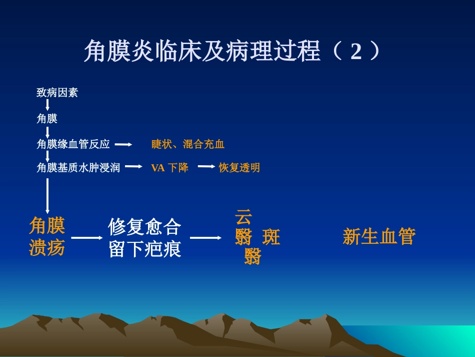 角膜病_第14页