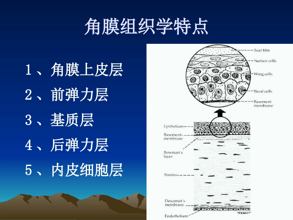 角膜病_第2页