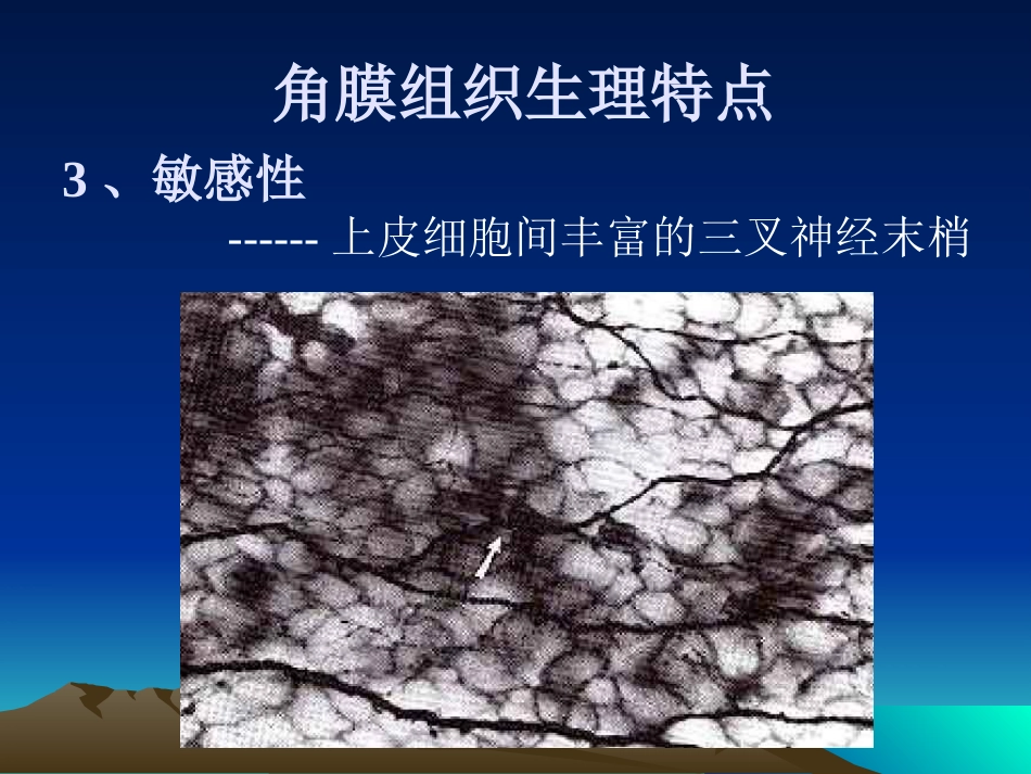 角膜病_第5页