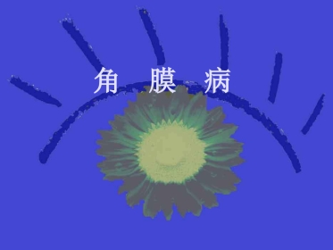 角膜病