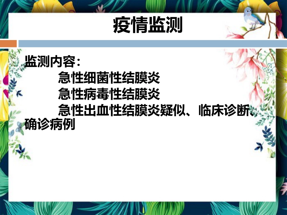 急性出血性结膜炎讲座_第15页