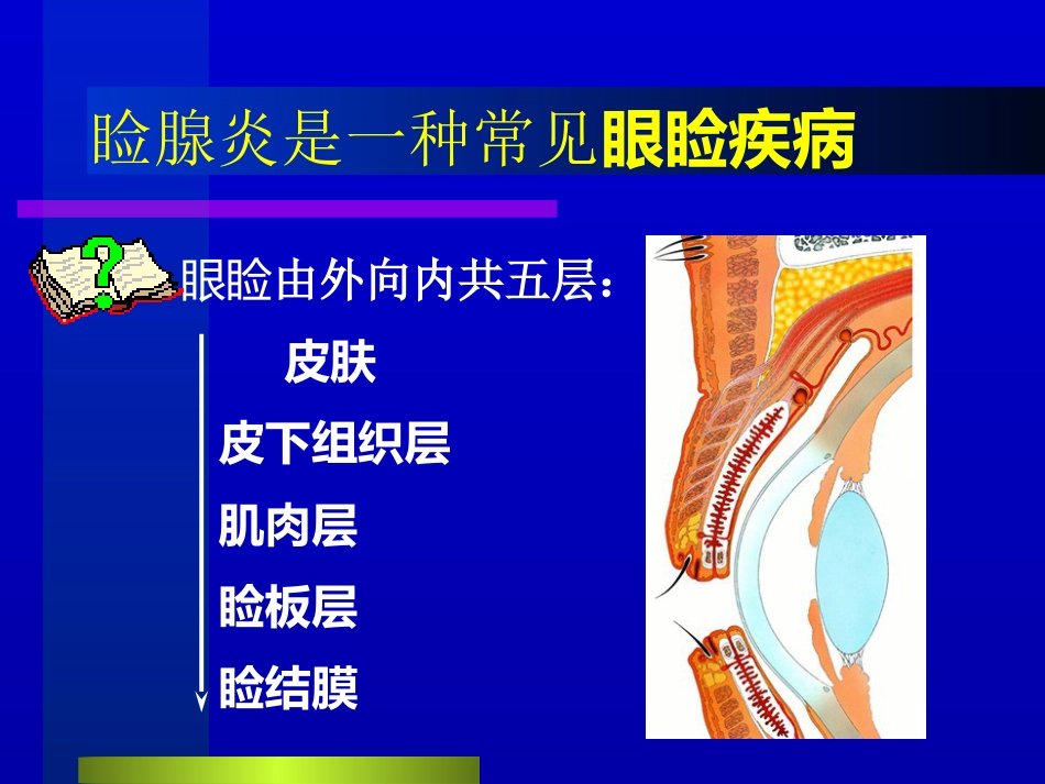 睑腺炎-麦粒肿_第2页