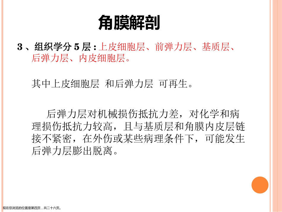 角膜移植术_第4页