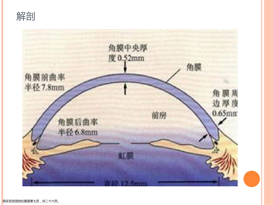 角膜移植术_第7页