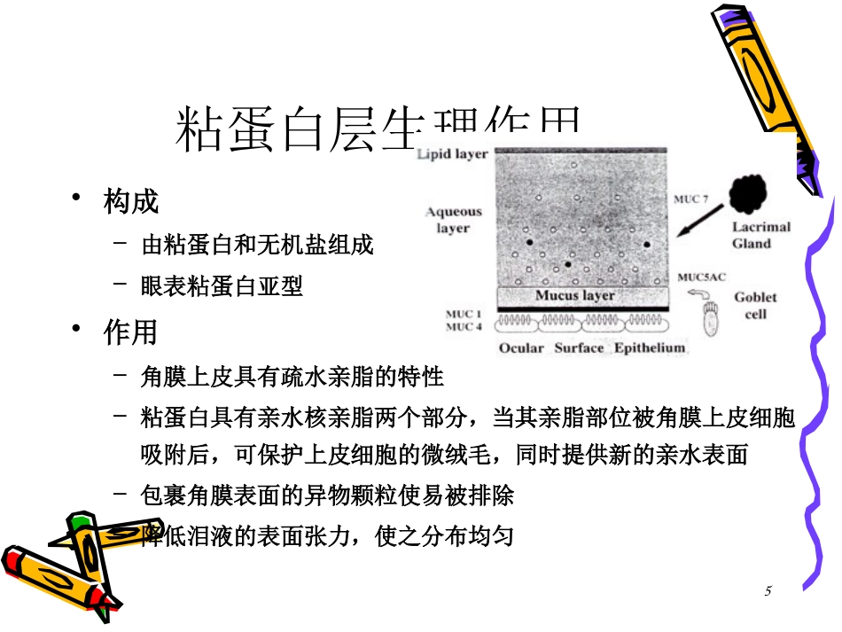 干眼症患者必看—干眼症诊断和治疗_第5页
