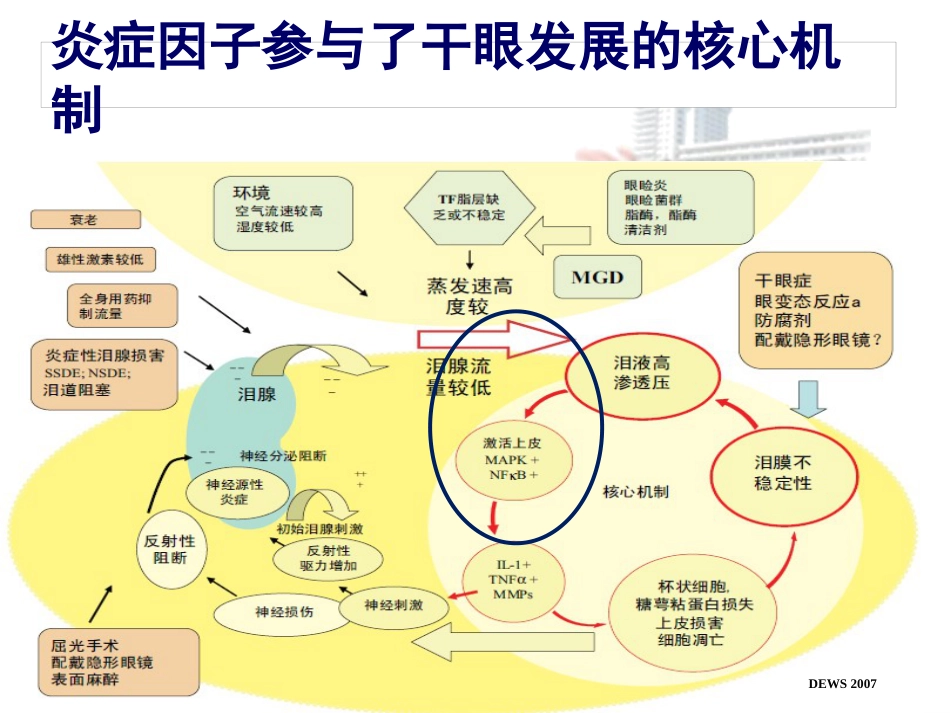 干眼诊断治疗的新进展_第11页