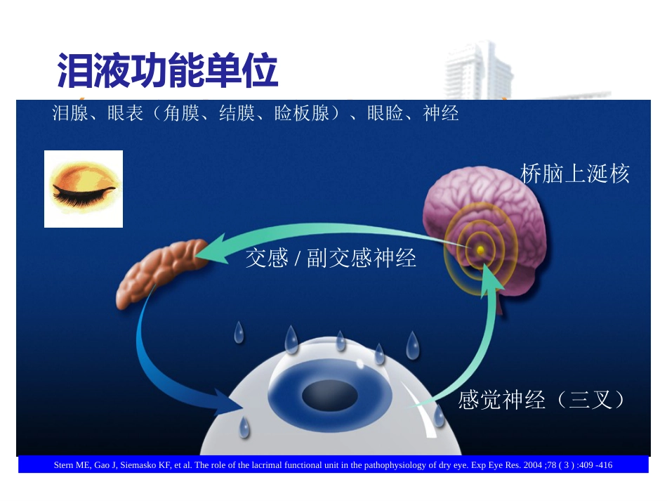 干眼诊断治疗的新进展_第3页