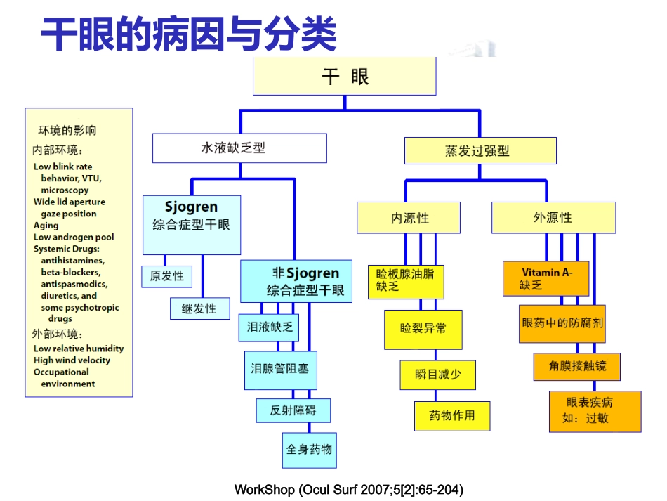 干眼诊断治疗的新进展_第4页