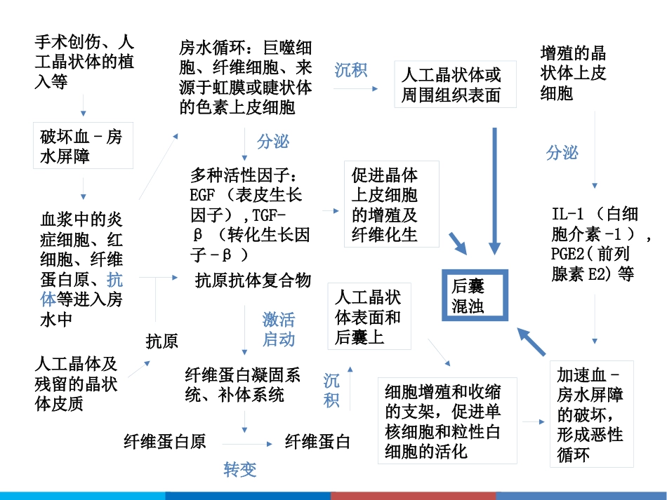 后发性白内障_第7页