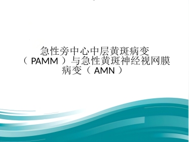 急性旁中心中层黄斑病变(PAMM)与急性黄斑神经视网膜病变(AMN)