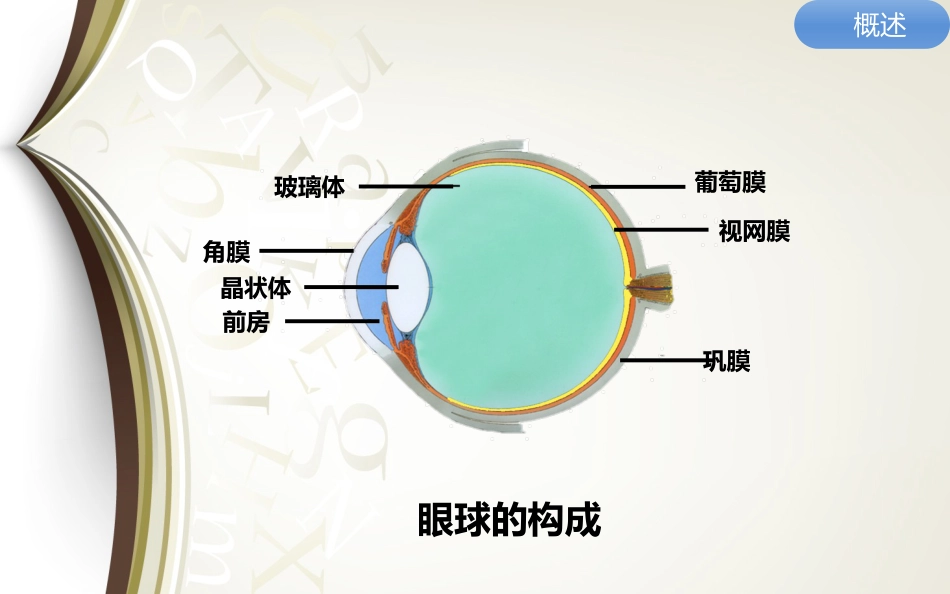 巩膜炎分享资料_第4页