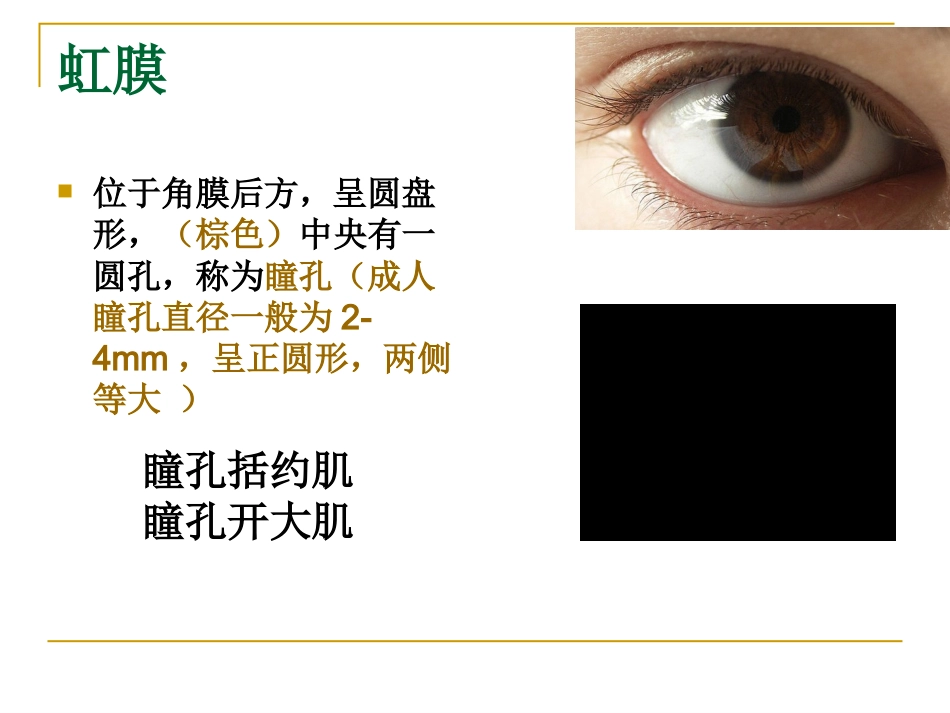 感觉器-眼_第10页